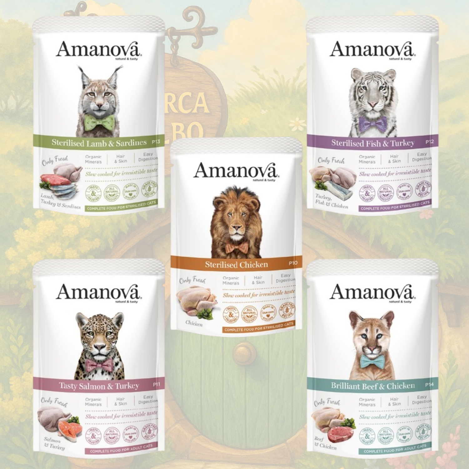 AMANOVA - CAT - POUCH