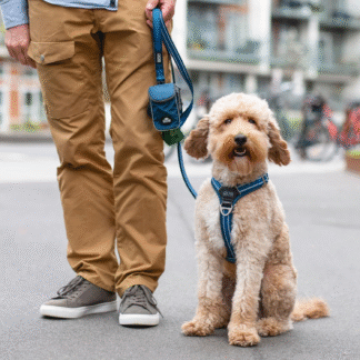 DOG COPENHAGEN - ARNES COMFORT WALK AIR