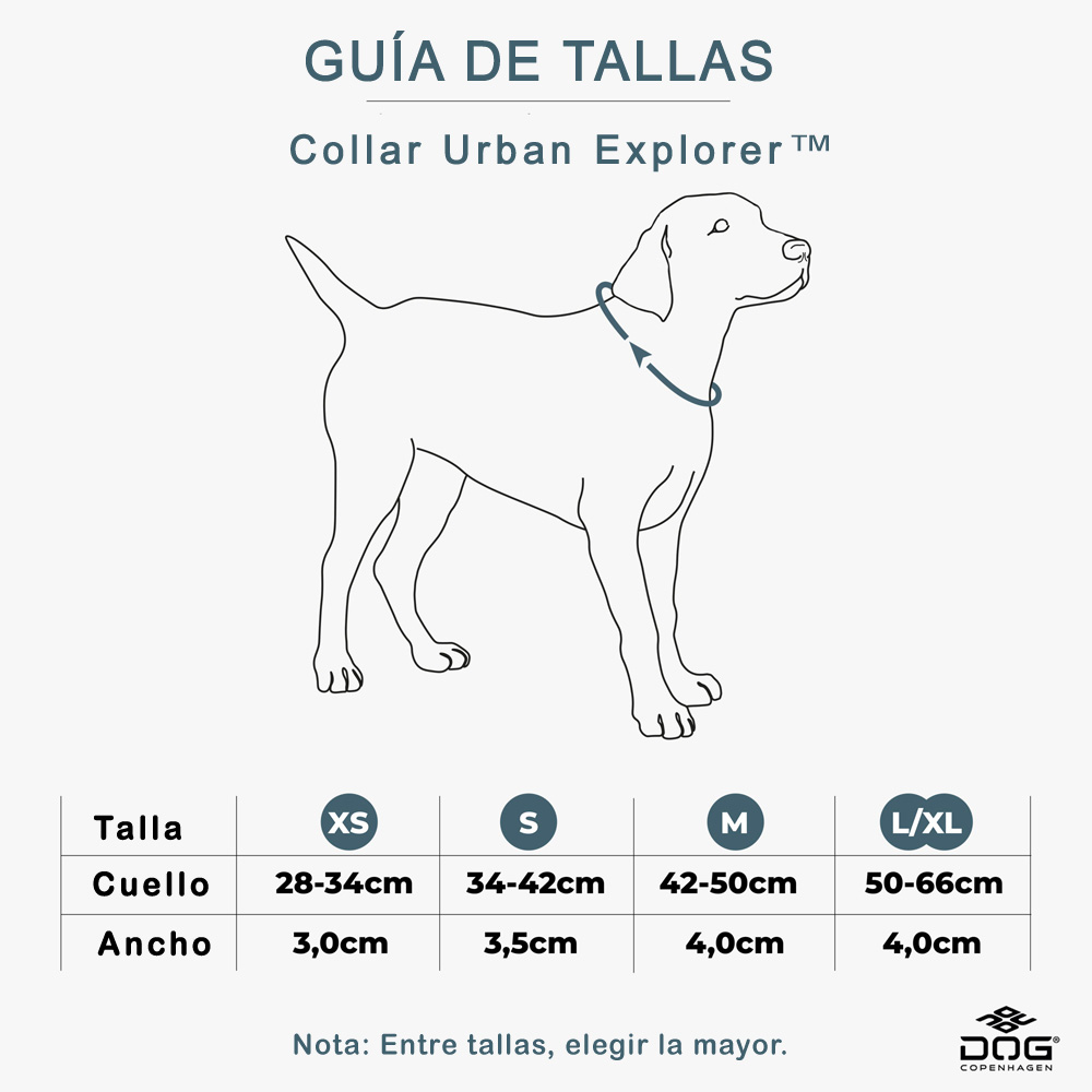 DOG COPENHAGEN - COLLAR URBAN EXPLORER - Imagen 2