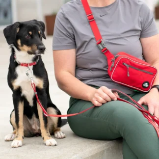 DOG COPENHAGEN - BOLSA RIÑONERA GO EXPLORE