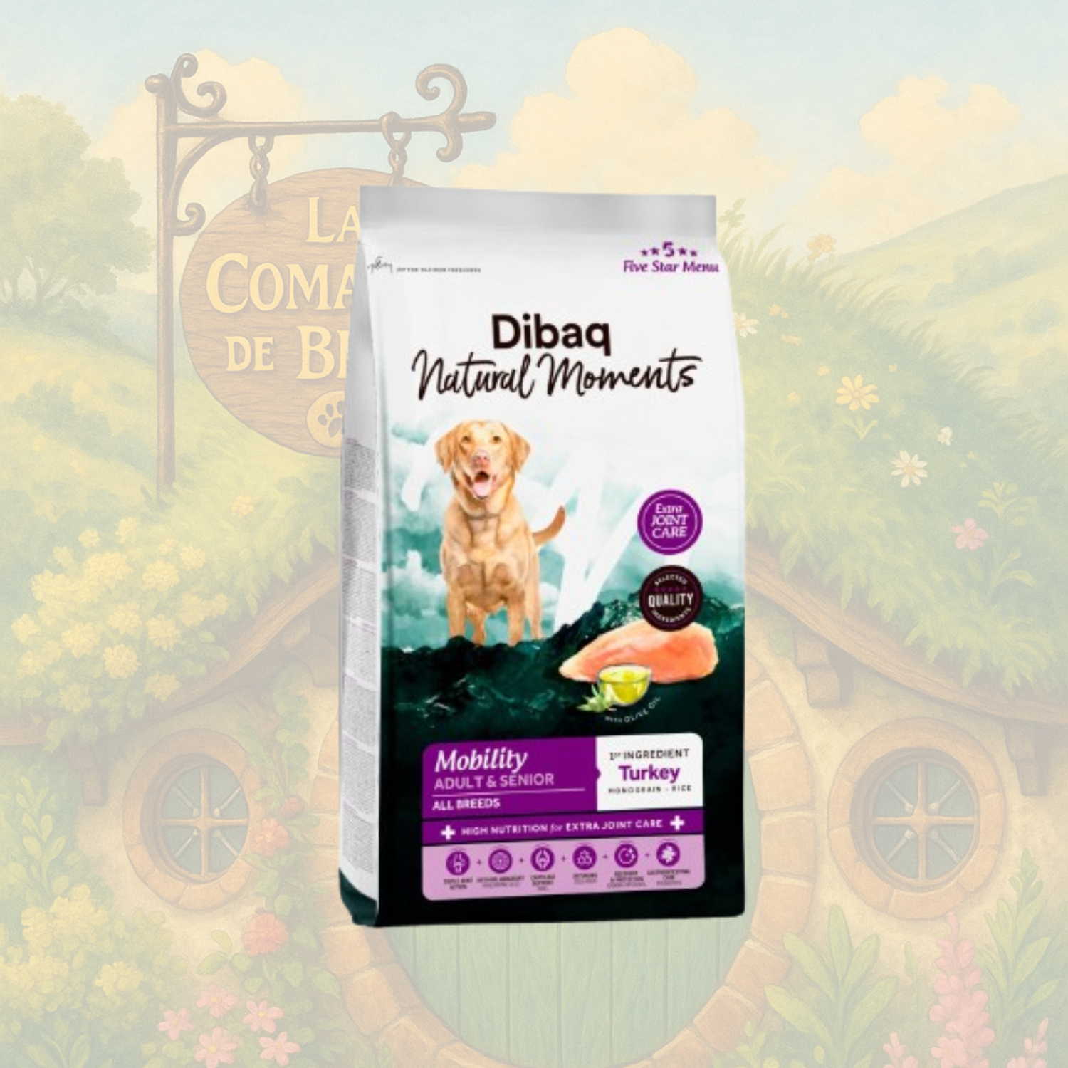 DIBAQ NATURAL MOMENTS - MOBILITY