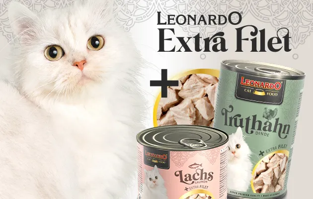 LEONARDO - EXTRA FILET